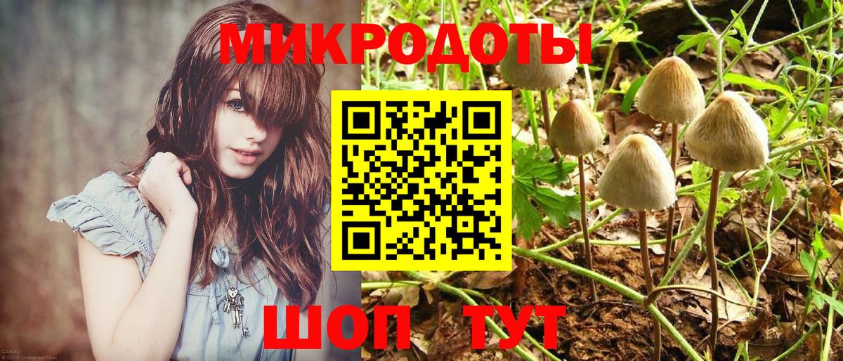 Галлюциногенные грибы Psilocybine cubensis  Вход с VPN  как найти   Кохма  Псилоцибиновые грибы мицелий 